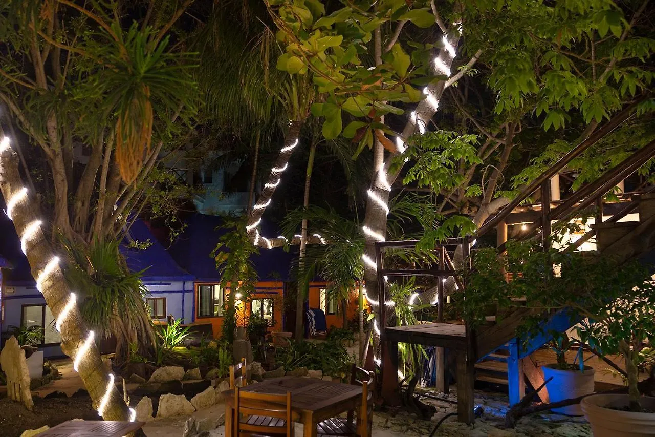 פוארטו מורלוס Hotel Amar Inn מקסיקו