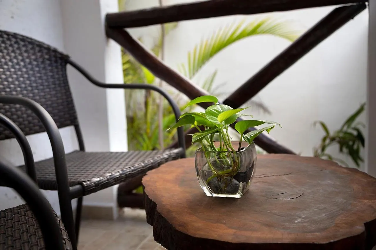 Hotel Amar Inn Puerto Morelos 2*,  México